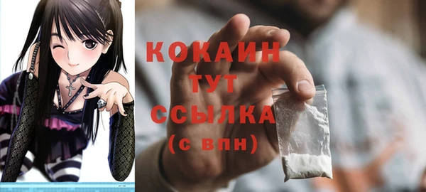 тгк Богородицк