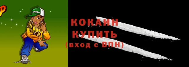 бошки Богданович