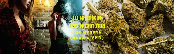тгк Богородицк
