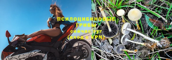 бошки Богданович