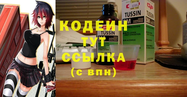 spice Богородск