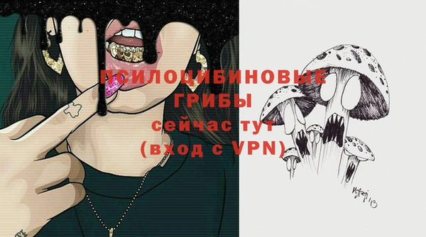 spice Богородск