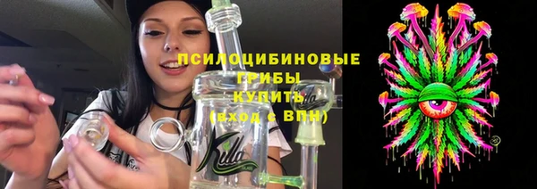 тгк Богородицк