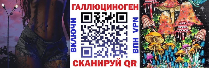 Галлюциногенные грибы мицелий  закладки  Котлас 
