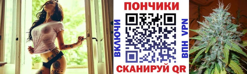 Бошки Шишки конопля Котлас
